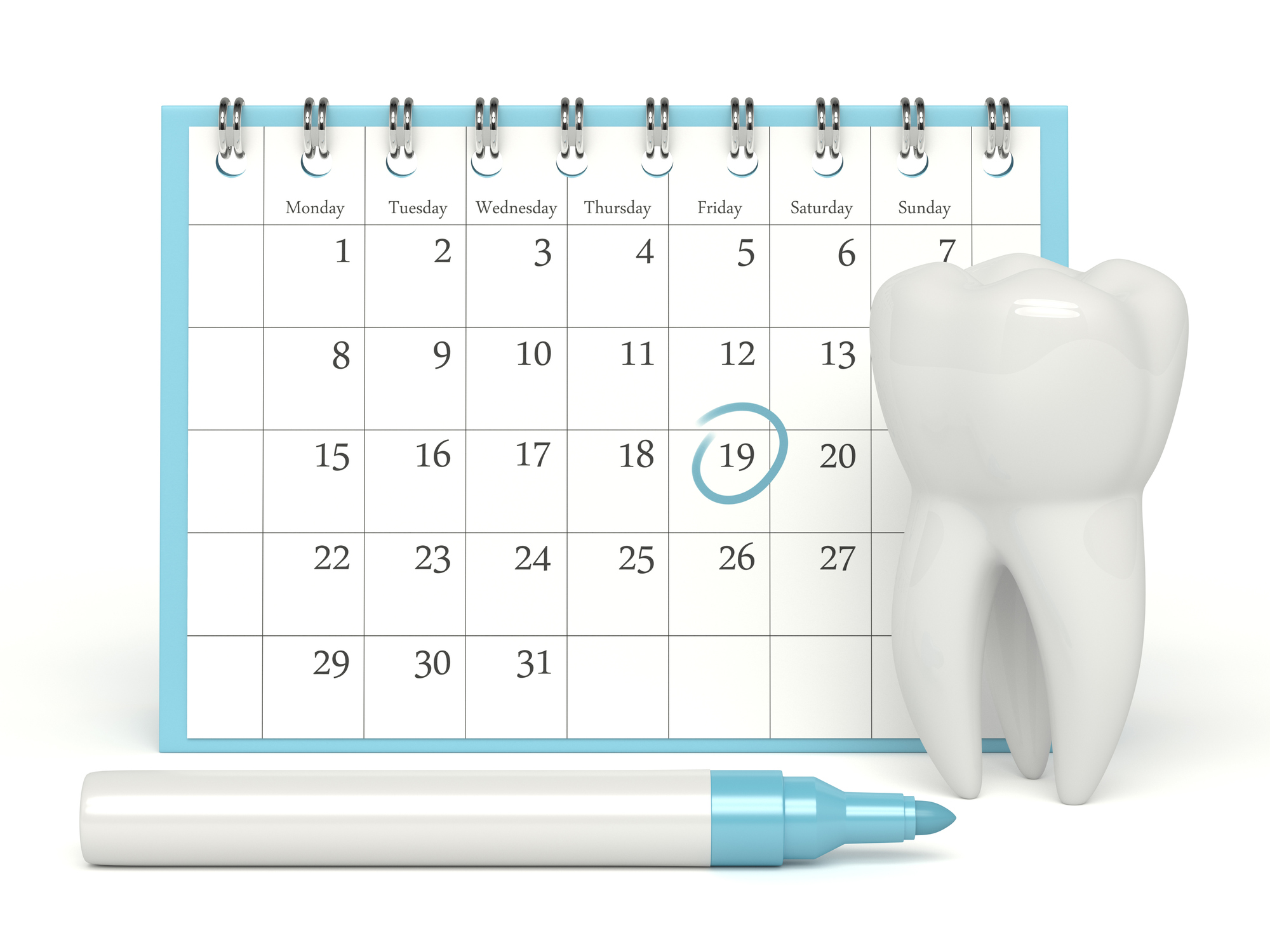 A calendar and tooth model  Description automatically generated
